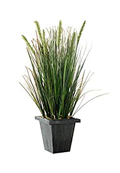 PSW - Plants & Vases 22 in Artificial Grass in Dark Square Paper Pot, Tall Product SKU: HD222774