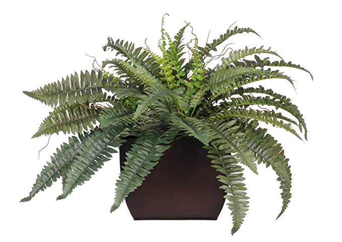 House of Silk Flowers Artificial Fern in Large Gloss Brown Zinc