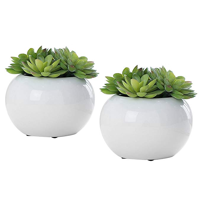 Set of 2 Modern Potted Green Artificial Succulent Plants in Round Glazed White Ceramic Pots