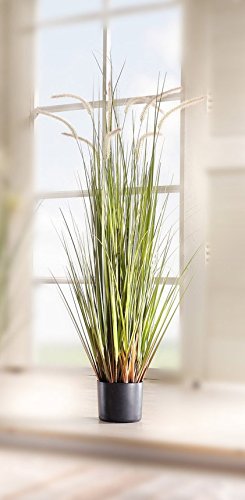 PSW - Plants & Vases Artificial 43 in Reed Grass w/Black Pot Product SKU: HD222557