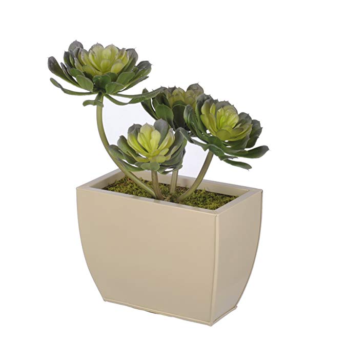 House of Silk Flowers Artificial Aeonium Succulent in Small Beige Zinc