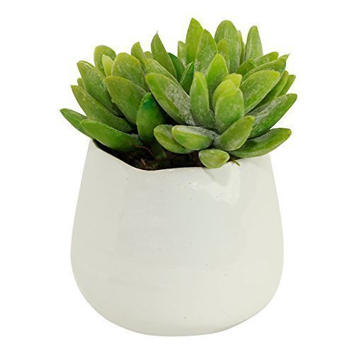 Small Faux Sedum Succulent in Round White Ceramic Planter - 4 x 4.5 Inches - Marmalade Floral Accents Potted Artificial Plant in Glazed Clay Vase - Global Modern Decor for Home or Office