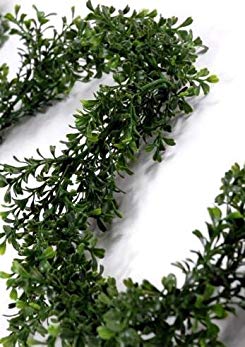 Richland Faux Boxwood Garland 9 Feet Set of 6