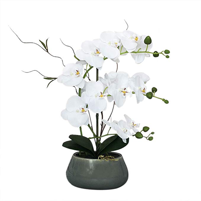Large Lifelike Silk Orchid with Decorative Ceramic Vase,Vivid Artificial Flower Arrangement,Potted Orchid Plant,White