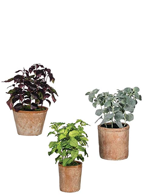 Sullivans 02062POT Kitchen Herbs Decorative Artificial Potted Plants, 13 Inch Each, Set of 3