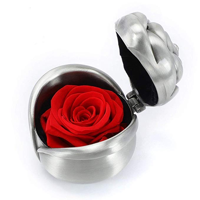 Gift for Girlfriend Wife, Red Rose, Handmade Preserved Rose Present, Exquisite Fresh Roses Upscale Immortal Flowers Best Gift for Female Birthday, Anniversary, Valentine's Day, Christmas (Silver-Red)