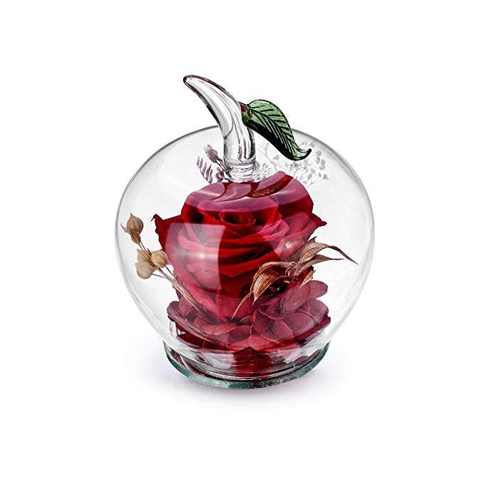 DeFancy Handmade Preserved Flowers Rose Decor with Apple-shaped Glass-Best Gift for Valentine's Day,Mother's Day,Birthday (Red)