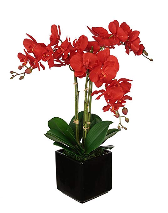 Artificial Red Triple Stem Orchid in Cube Vase (Black)