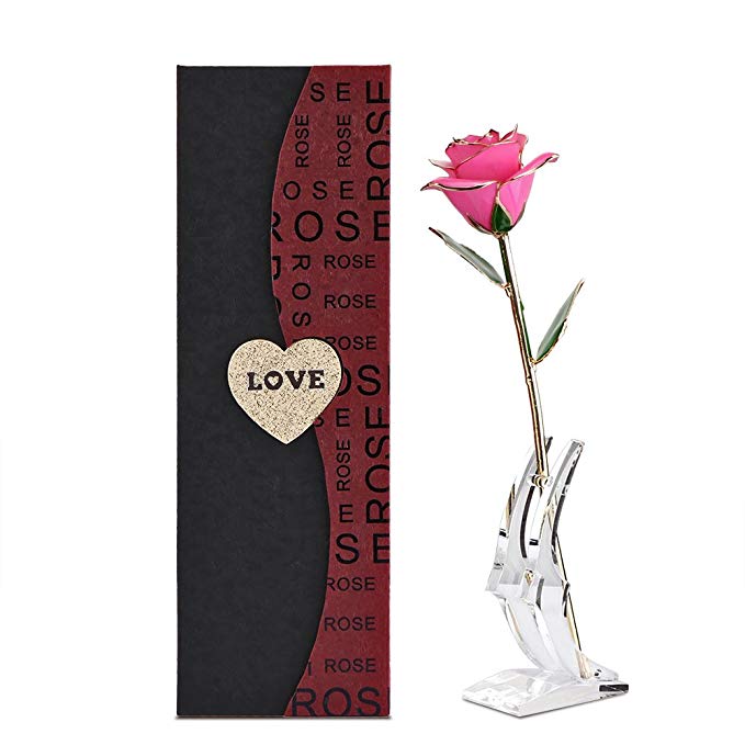 Romantic Gifts For Her, 24K Gold Trimmed Rose Long Stem Flower with Transparent Stand and Exquisite Gift Box for Lover Girl Friend Valentine's day Christmas Home decoration(Pink)