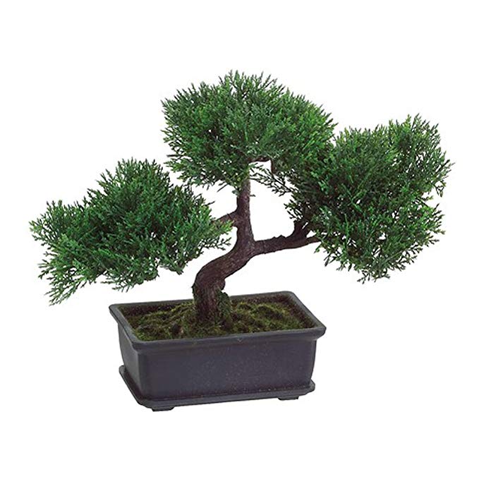 T-Trove Artificial Japanese Cedar Bonsai Tree 9 inch tall