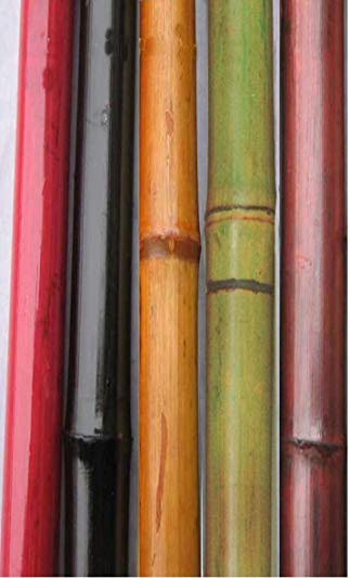 Green Floral Crafts Bamboo Poles 6' by 1/2