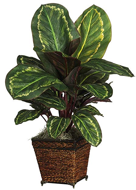 Nearly Natural 6590-05 Maranta with Basket Decorative Silk Plant, Green