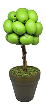 Flora Bunda Artificial Potted Tabletop Fruit Tree, 12 in Tall (Lime)