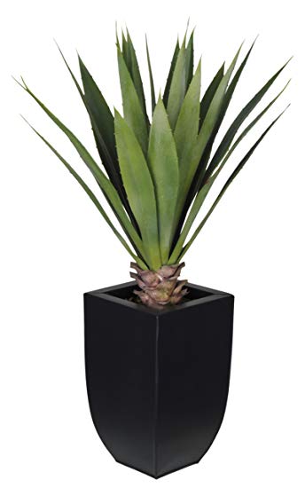 House of Silk Flowers Artificial Tabletop Yucca in Matte Black Zinc Vase