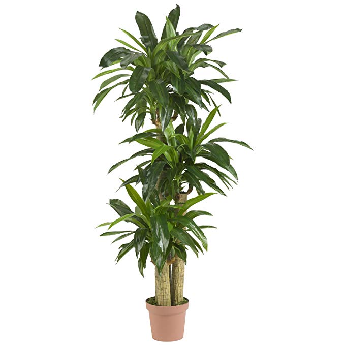 Nearly Natural 6584 Corn Stalk Dracaena Decorative Artificial Silk Plant, Green