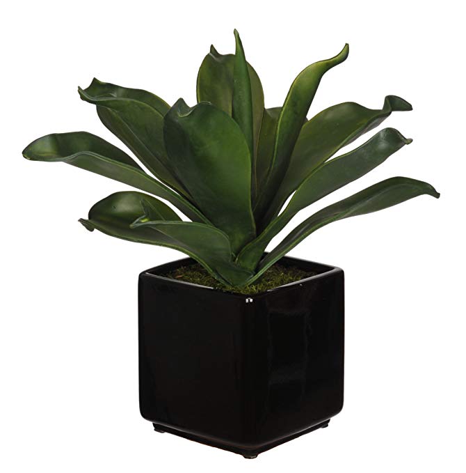 House of Silk Flowers Artificial Agave Succulent in Black Cube Ceramic