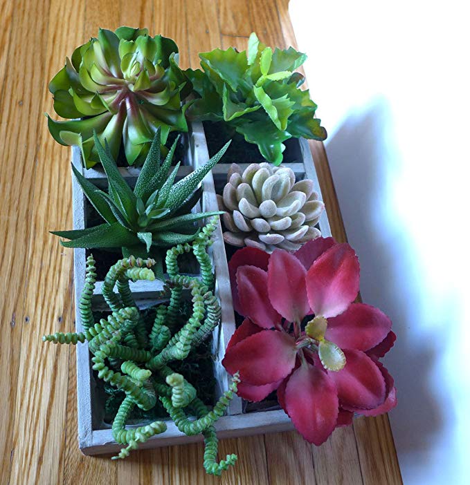 (Ship from USA) 6 Different Mini Artificial Plants Desert Succulent Home Restaurant Landscape *JPOU842H5ET11448