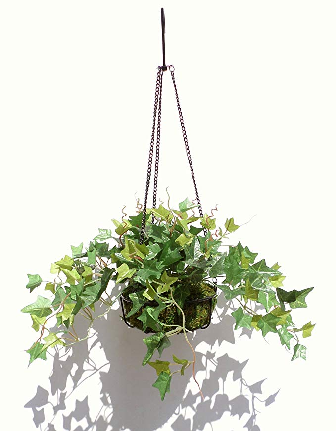English Ivy in Ironware Hanging Basket, Artificial Plant