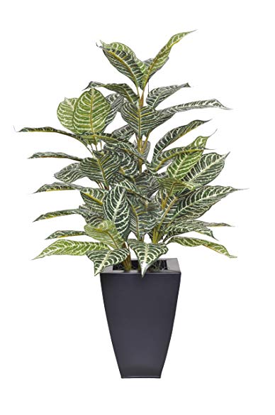 House of Silk Flowers Artificial 2.5-foot Zebra Plant in Black Zinc Planter