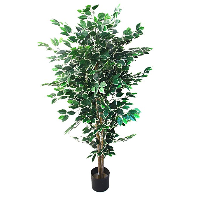 Pure Garden Artificial Ficus Tree with Variegated Leaves and Natural Trunk, Beautiful Fake Plant for Indoor-Outdoor Home Décor-5 ft. Tall Topiary