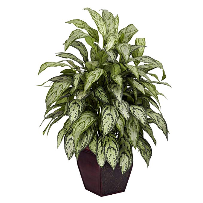 Nearly Natural 6693 Silver Queen with Planter Decorative Silk Plant, Green