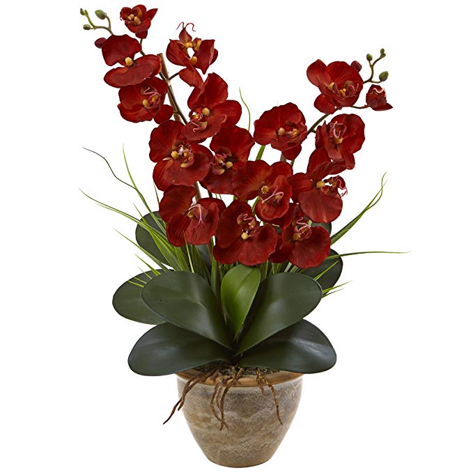 Nearly Natural Double Phalaenopsis Orchid Arrangement, Autumn