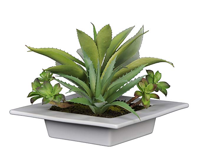 House of Silk Flowers 1057 Artificial Succulent Garden in White Tray