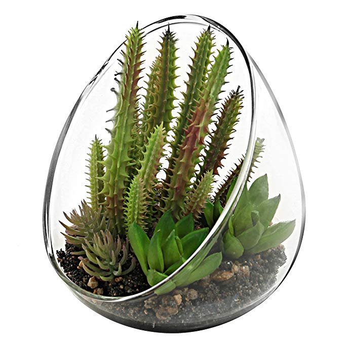 MyGift Small Artificial Cactus Plants with Slanted Clear Glass Terrarium Vase