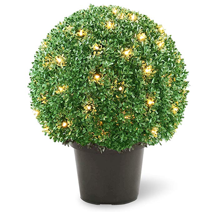 National Tree 22 Inch Mini Boxwood Ball Shaped Topiary Tree in Round Green Growers Pot and 70 Clear Lights (LBXM4-302-22)